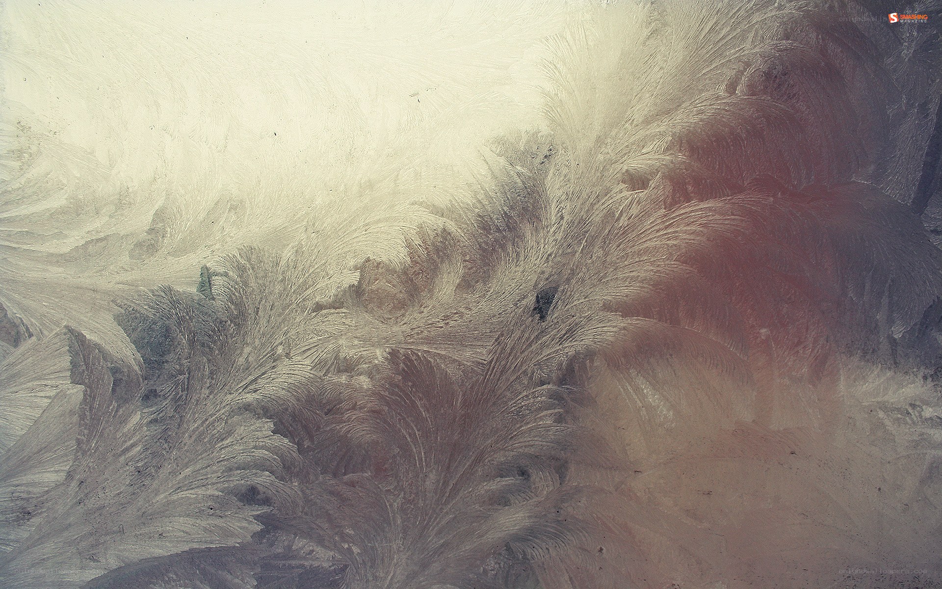 frost patterns on glass