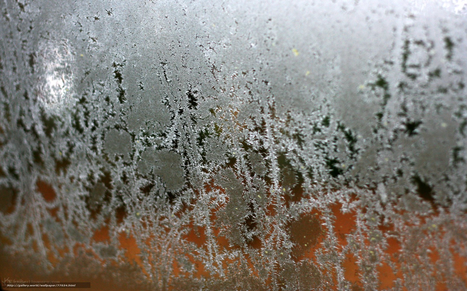 frost patterns on glass