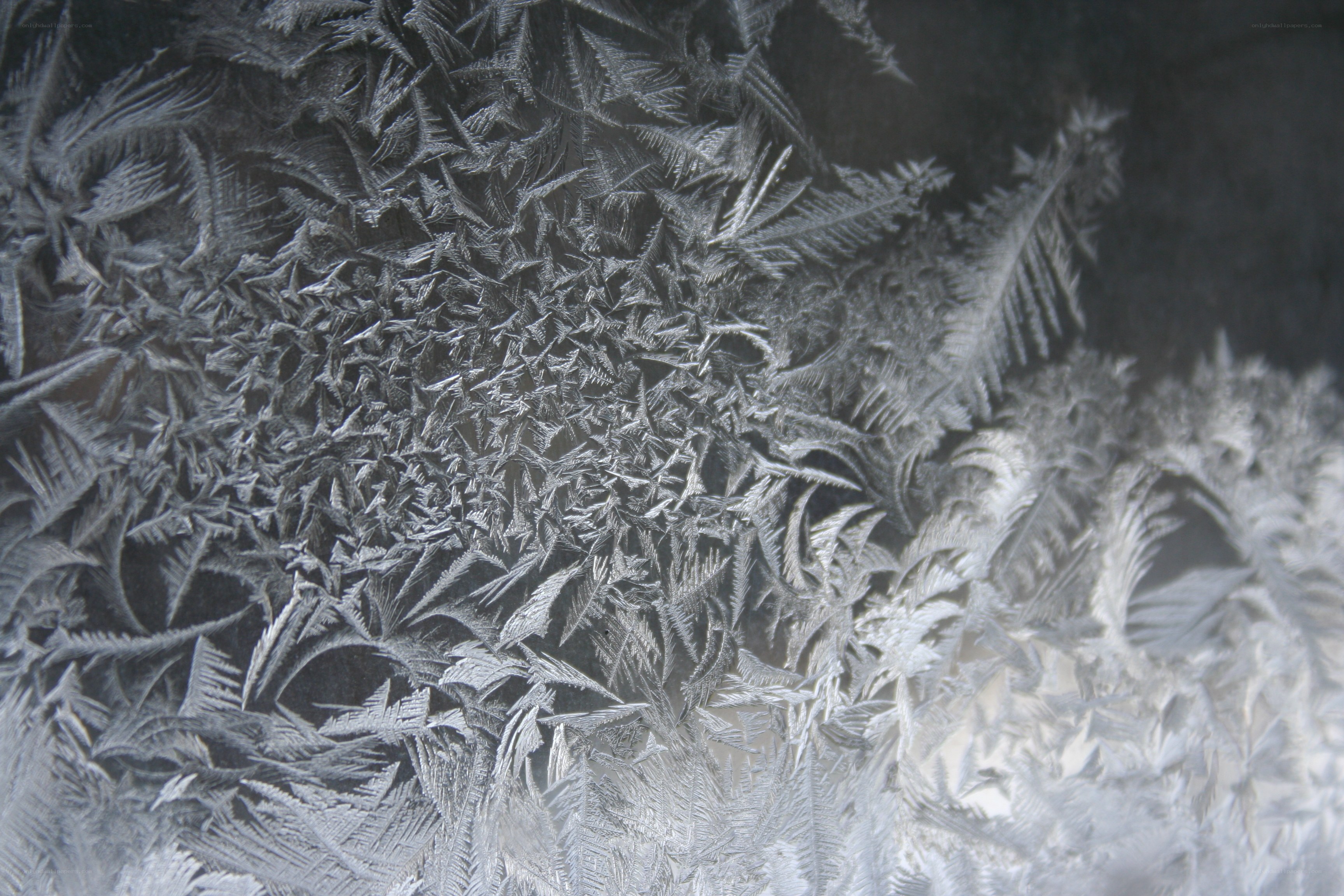 frost patterns on glass