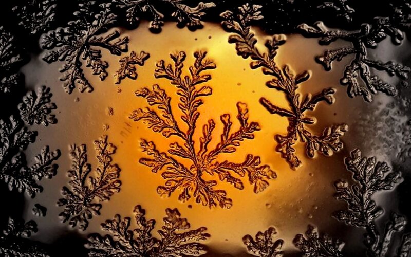 frost patterns on glass