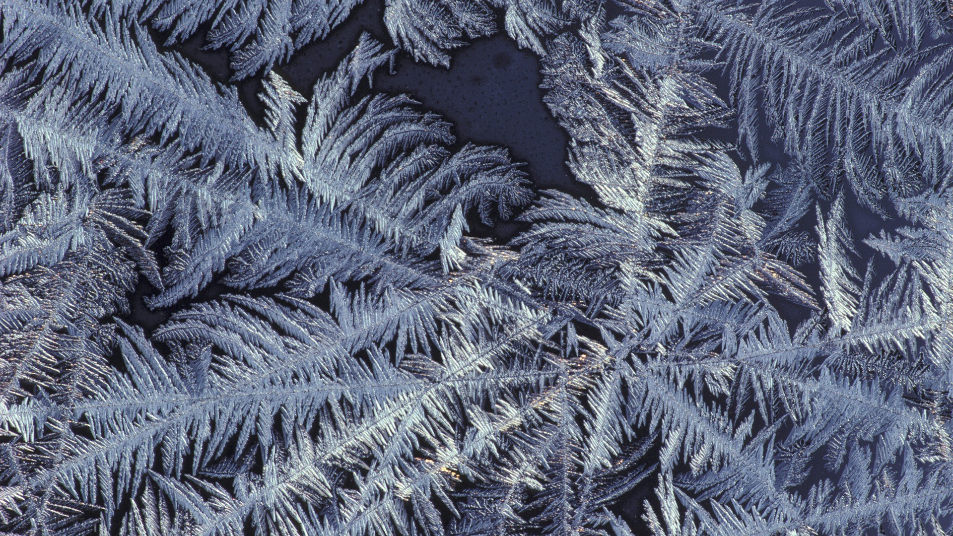 frost patterns on glass