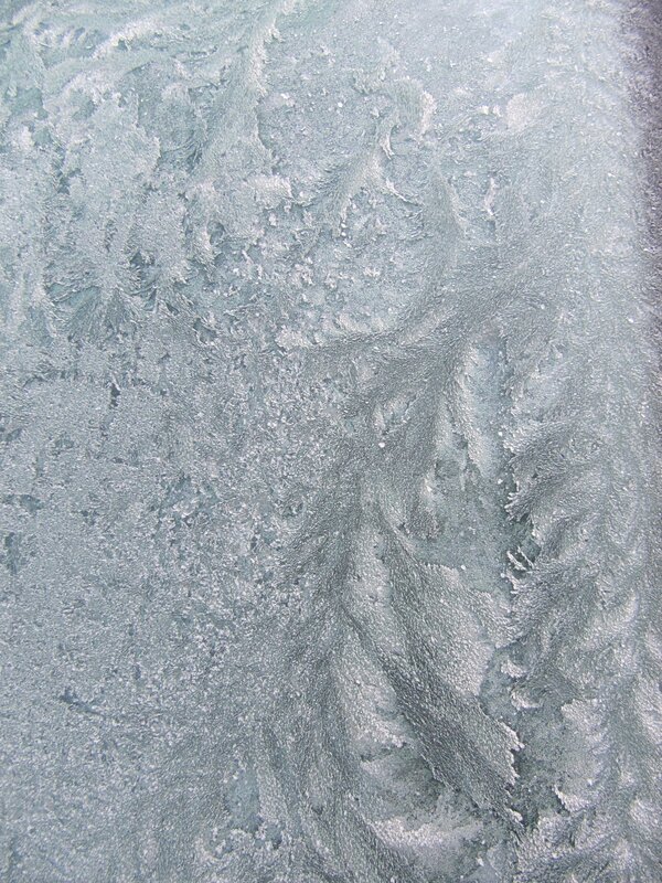 frost patterns on glass