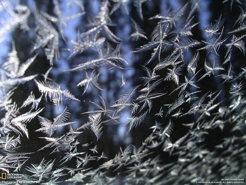 frost patterns on glass