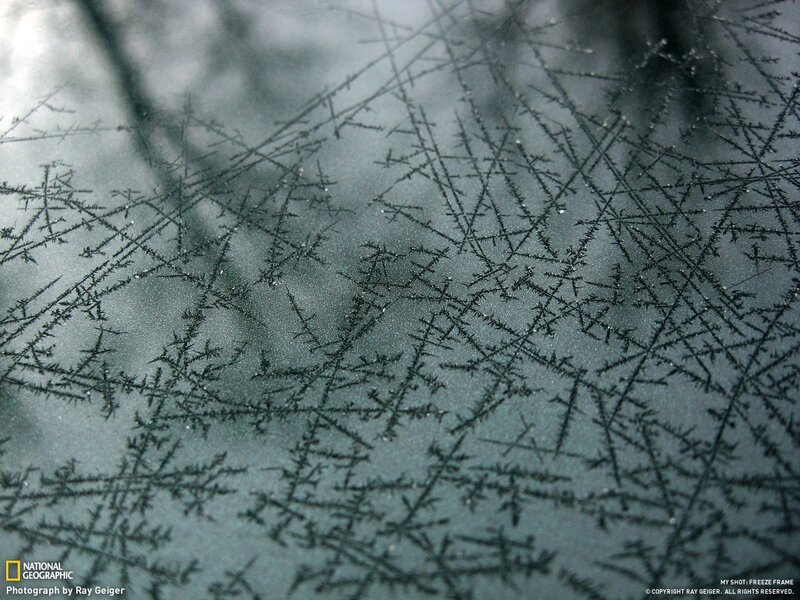frost patterns on glass