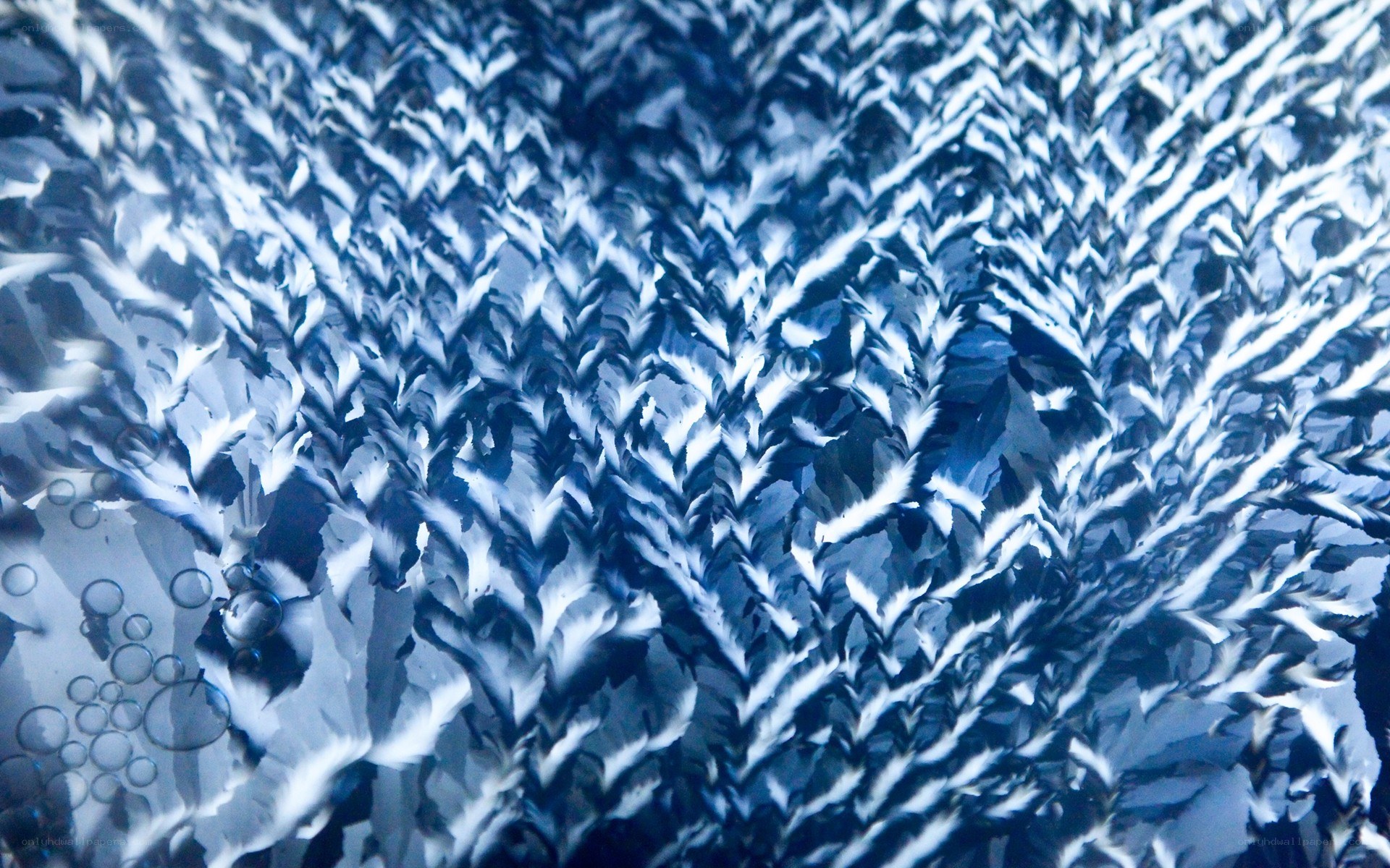 frost patterns on glass