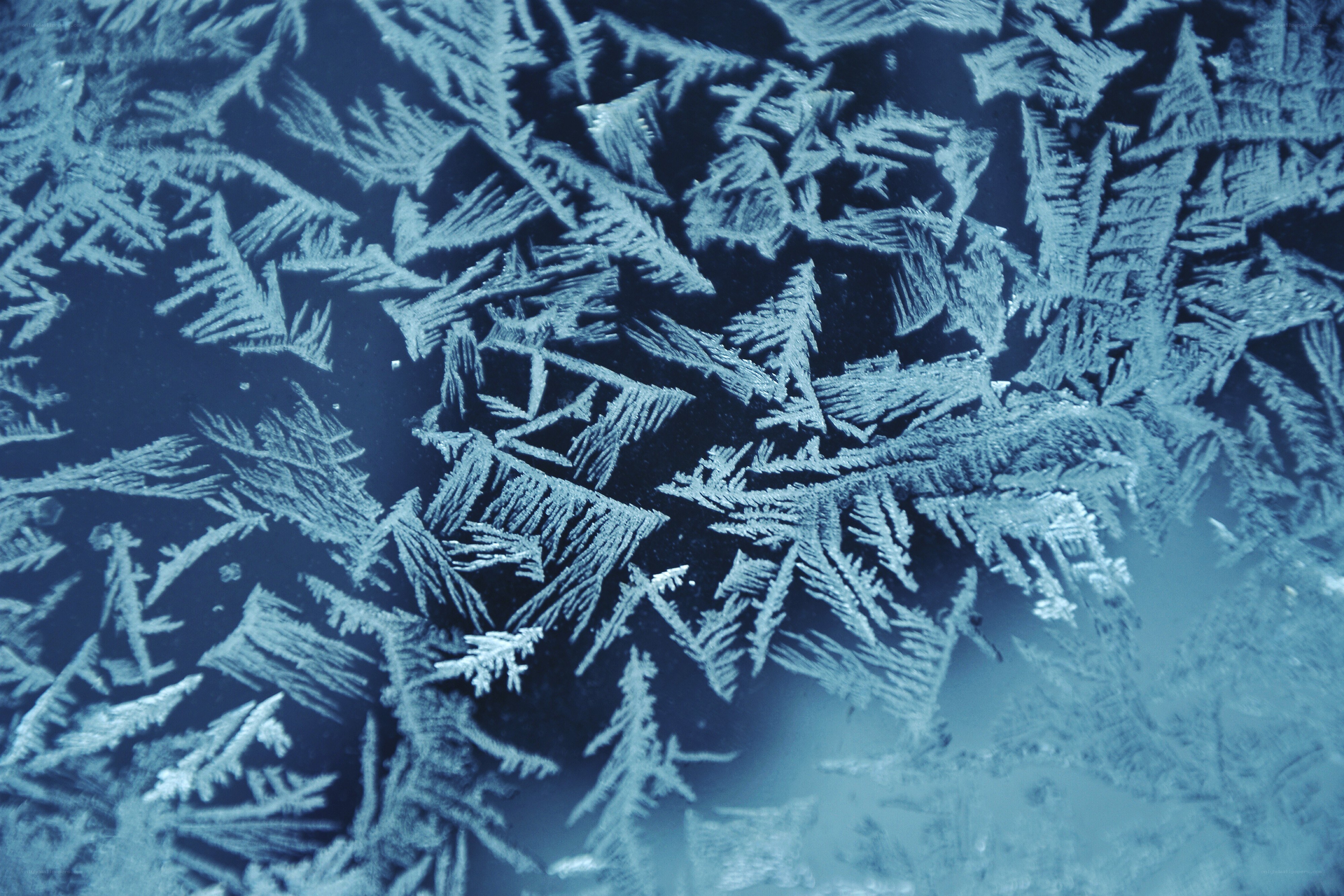 frost patterns on glass
