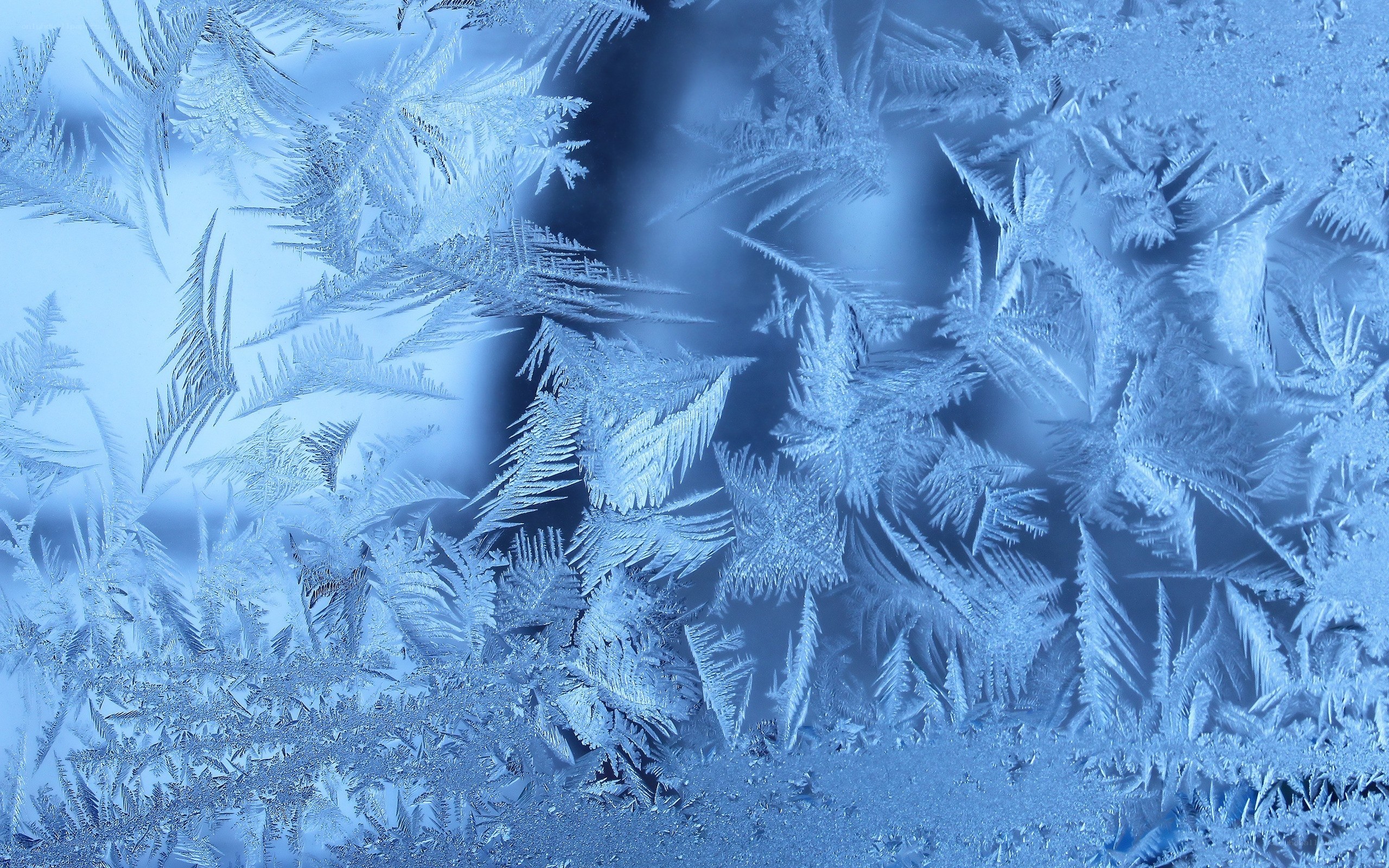 frost patterns on glass