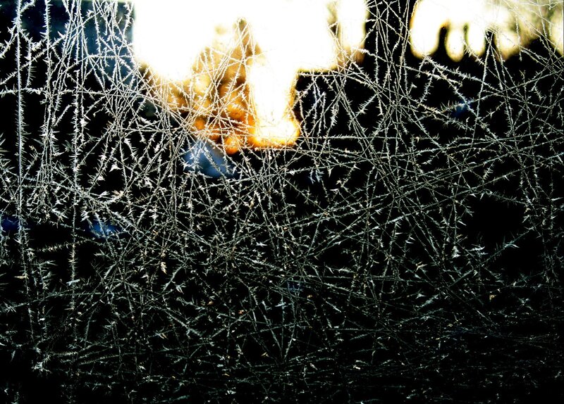 Frost Patterns on Glass — Black, Dramatic