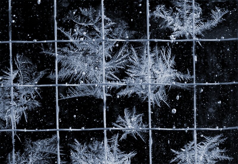 Frost Patterns on Glass — Black