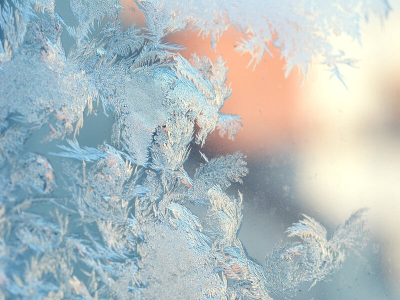 Frost Patterns on Glass — Blue, Calm, Winter, Photograph, Ice Crystals, Window