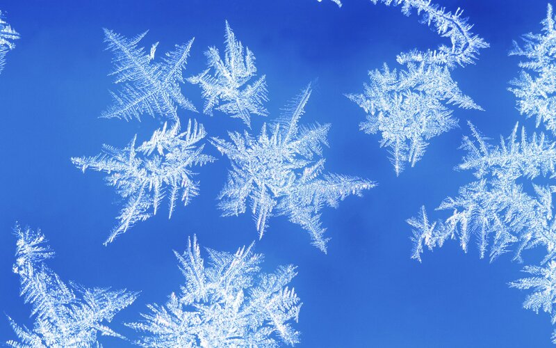 Frost Patterns on Glass — Blue, Calm, Winter, Photograph