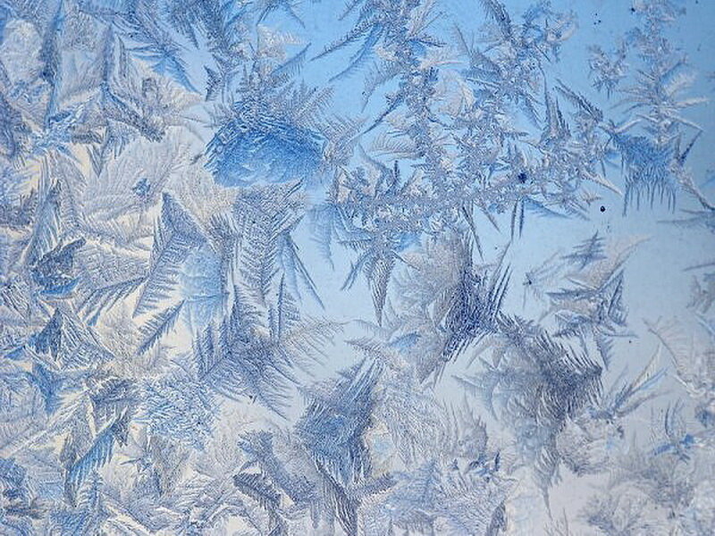 Frost Patterns on Glass — Blue, Cold, Winter, Photograph, Ice Crystals