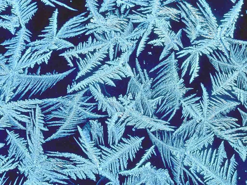 Frost Patterns on Glass — Blue, Cold, Winter, Photograph, Ice, Crystals, White, Black