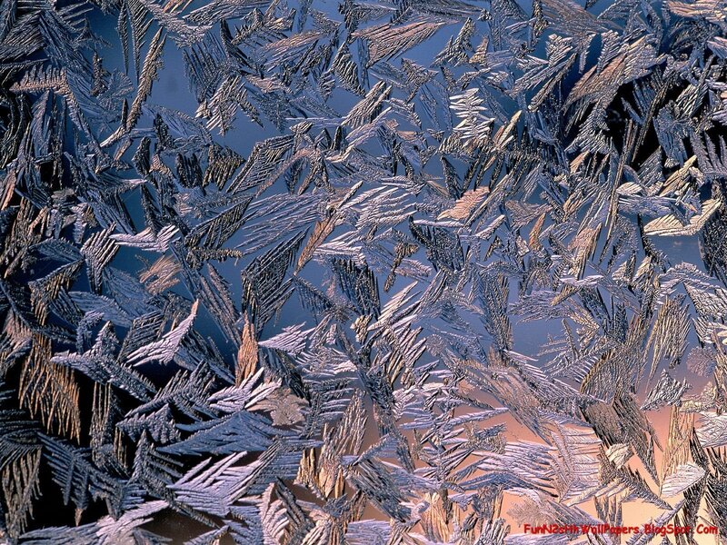 Frost Patterns on Glass — Blue, Cold, Winter, Photograph, Ice Crystals, White, Brown