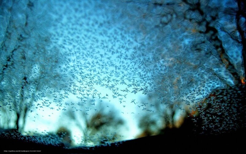 Frost Patterns on Glass — Blue, Cold, Winter, Photograph, Ice Crystals, Window, Dark Background