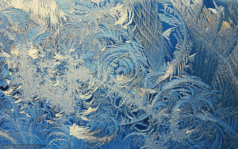 Frost Patterns on Glass — Blue, Cold, Winter, Photograph, Ice, Window, Blue Light