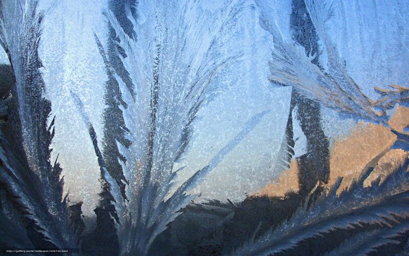 Frost Patterns on Glass — Blue, Cold, Winter, Photograph, Ice, Window, Sunlight