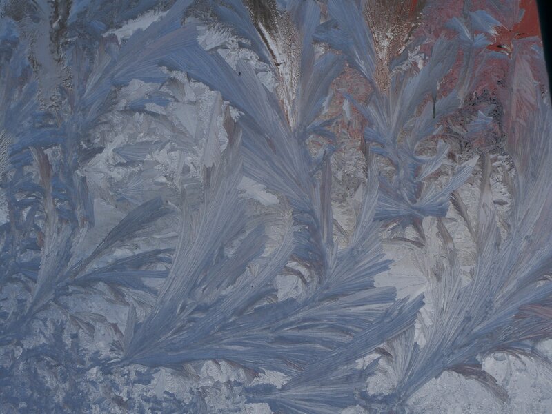 Frost Patterns on Glass — Blue, Cold, Winter, Photograph, Ice, Window, White, Gray