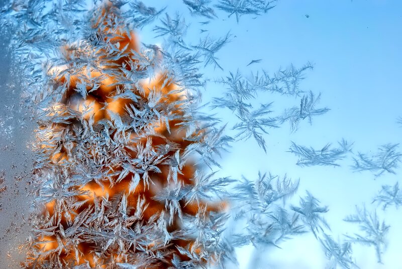 Frost Patterns on Glass — Blue, Cold, Winter, Photograph, Window
