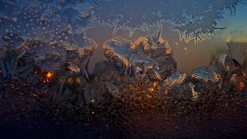 Frost Patterns on Glass — Blue, Dramatic, Night, Photograph