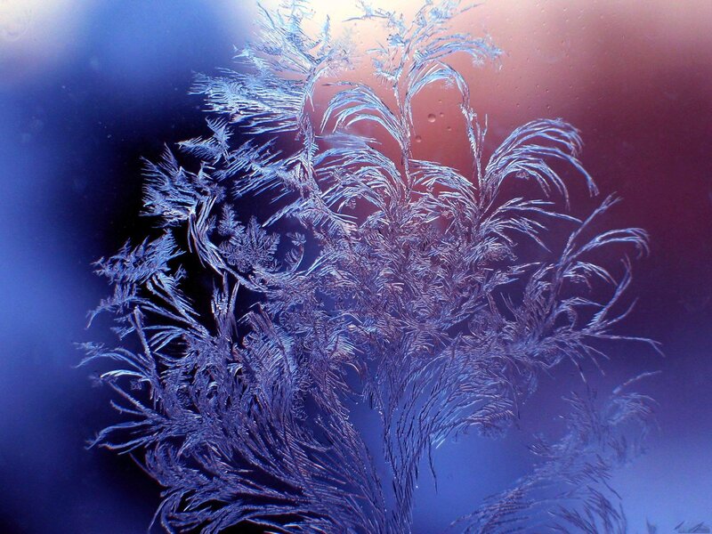 Frost Patterns on Glass — Blue, Dramatic