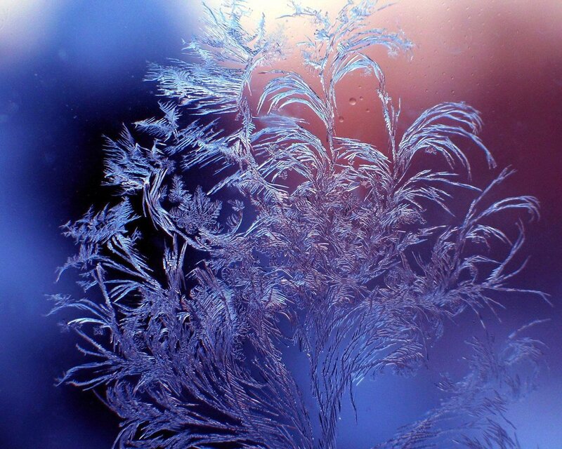 Frost Patterns on Glass — Blue, Dramatic, Winter