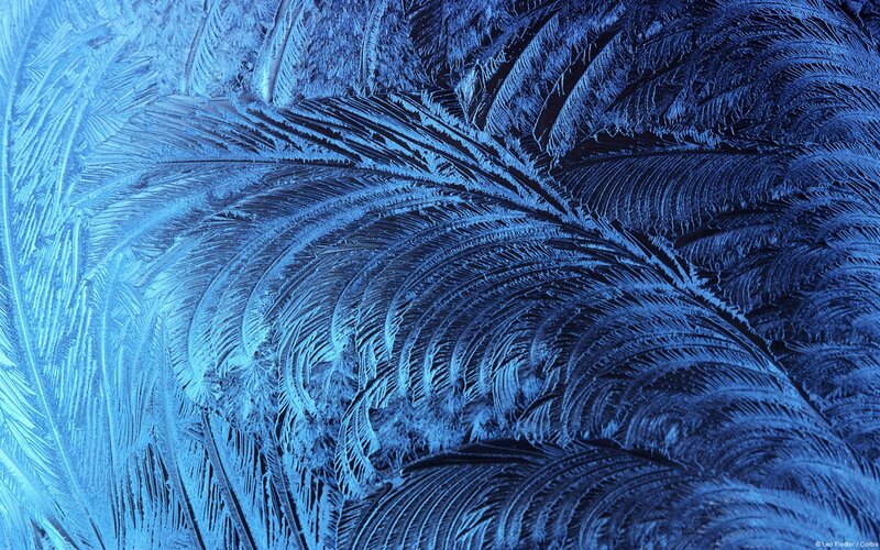 Frost Patterns on Glass — Cold, Photograph