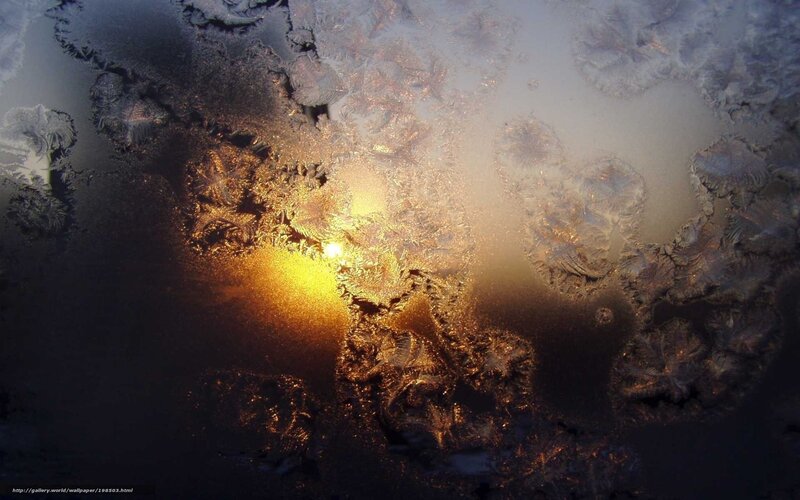 Frost Patterns on Glass — Gold, Dramatic, Morning