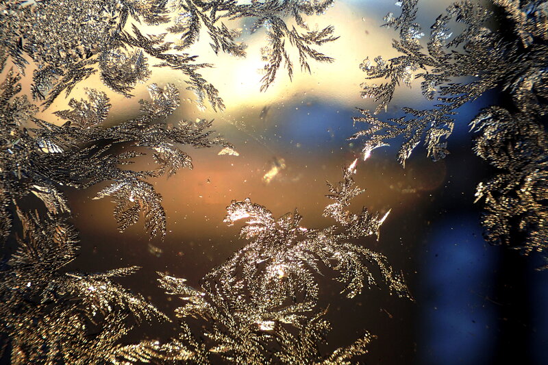 Frost Patterns on Glass — Gold, Dramatic, Sunset, Photograph, Ice Crystals