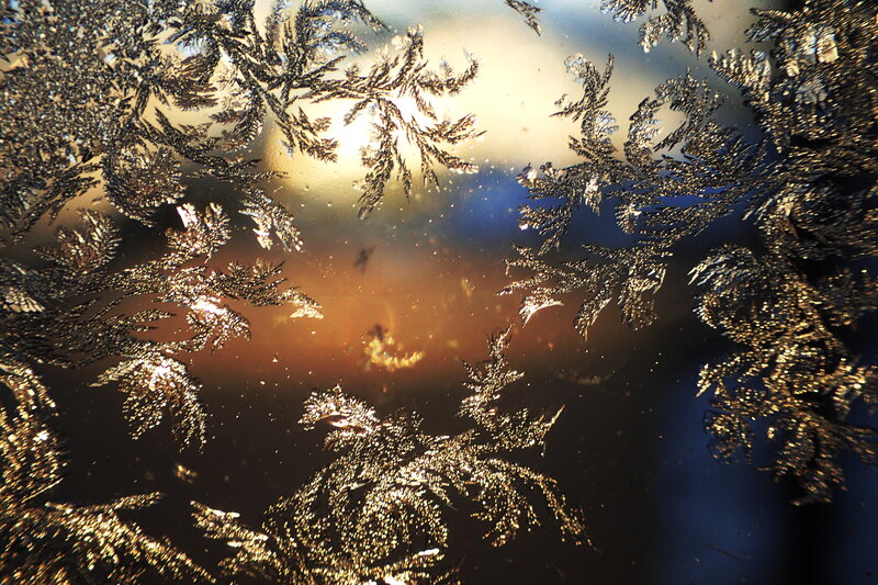 Frost Patterns on Glass — Gold, Dramatic, Sunset, Photograph