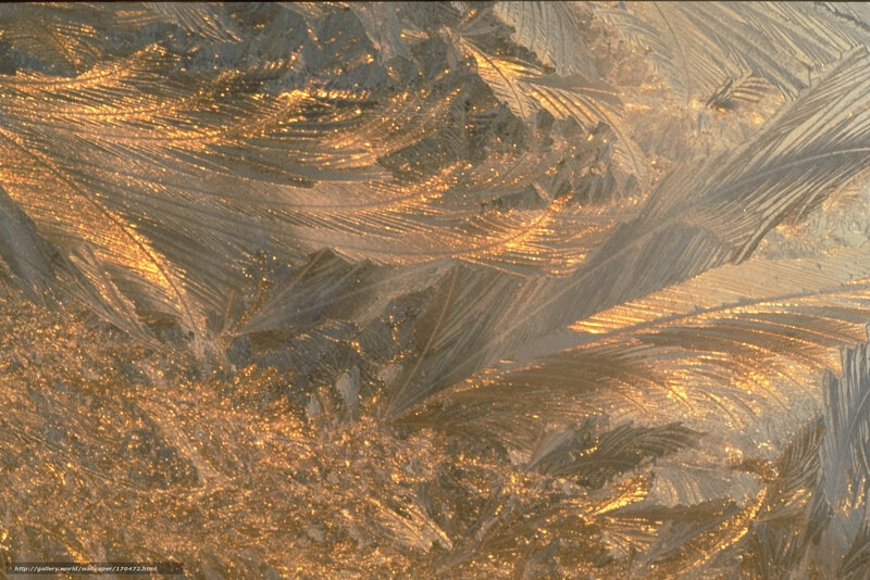 Frost Patterns on Glass — Gold, Dramatic, Sunset