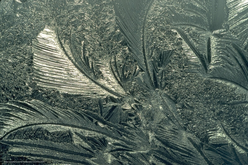 Frost Patterns on Glass — Gray, Cold