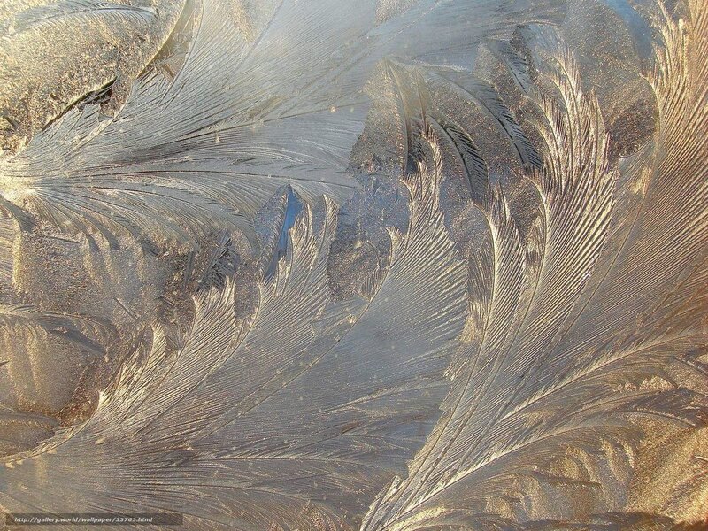 Frost Patterns on Glass — Gray