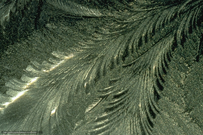 Frost Patterns on Glass — Green