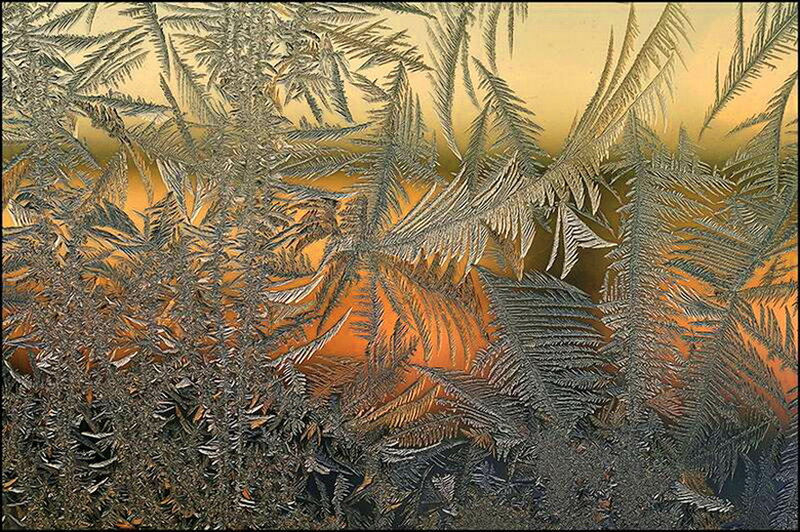 Frost Patterns on Glass — Orange