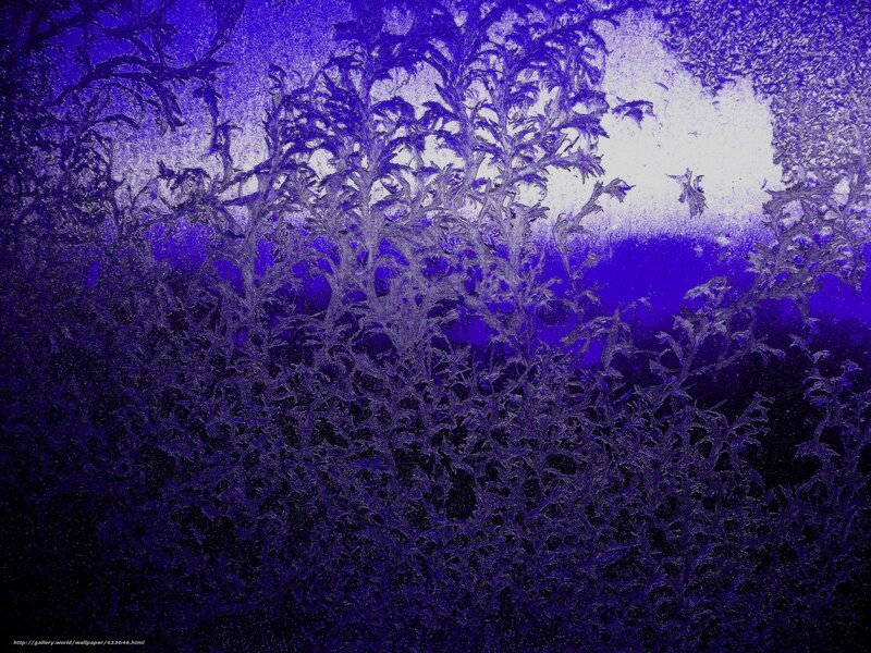 Frost Patterns on Glass — Purple, Cold