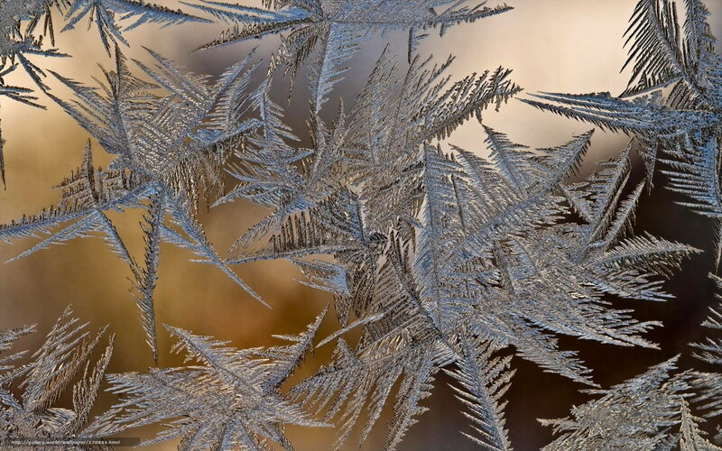 Frost Patterns on Glass — Silver, Calm