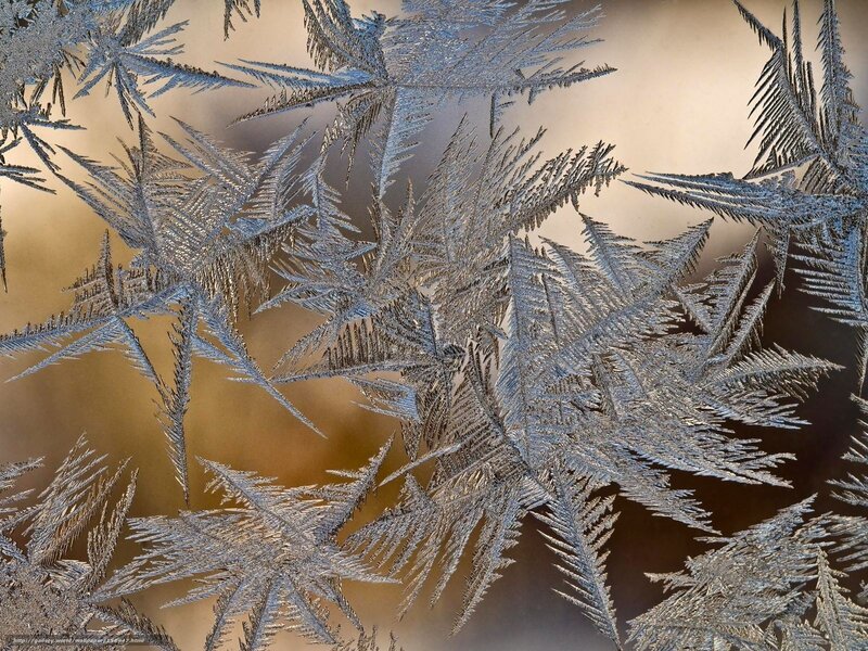 Frost Patterns on Glass — Silver, Calm, Winter