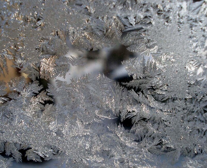 Frost Patterns on Glass — Silver