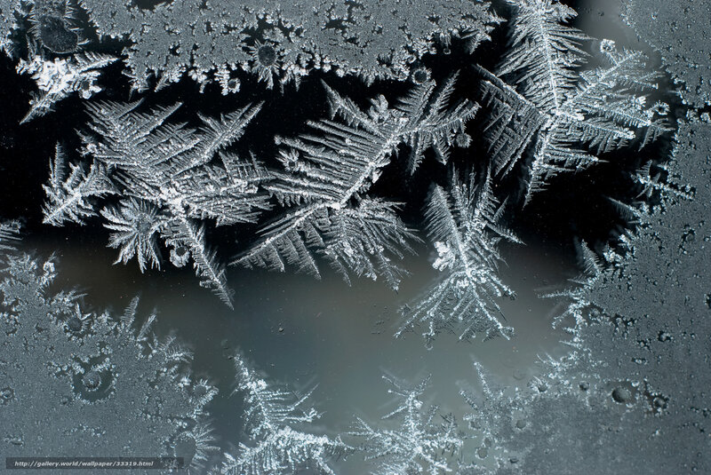 Frost patterns on glass