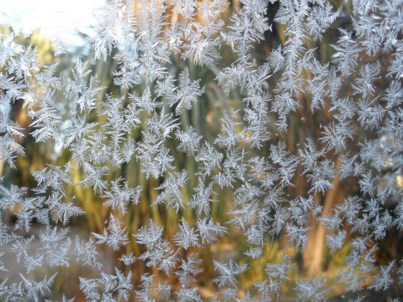 Frost Patterns on Glass — White, Calm