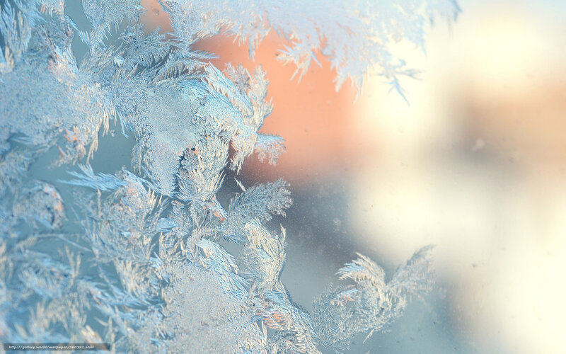Frost Patterns on Glass — White, Calm, Winter, Photograph, Ice Crystals