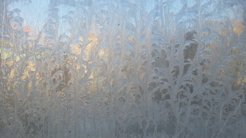 Frost Patterns on Glass — White, Calm, Winter, Photograph, Ice
