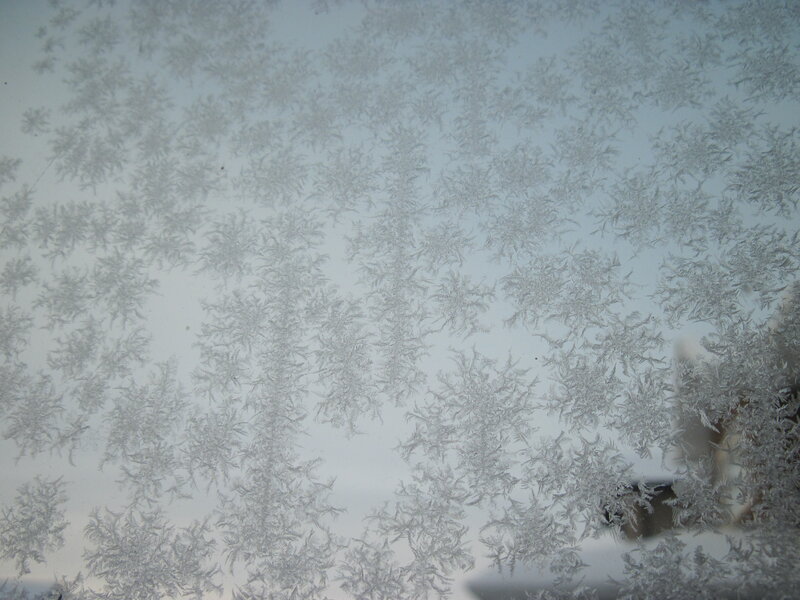 Frost Patterns on Glass — White, Calm, Winter, Photograph