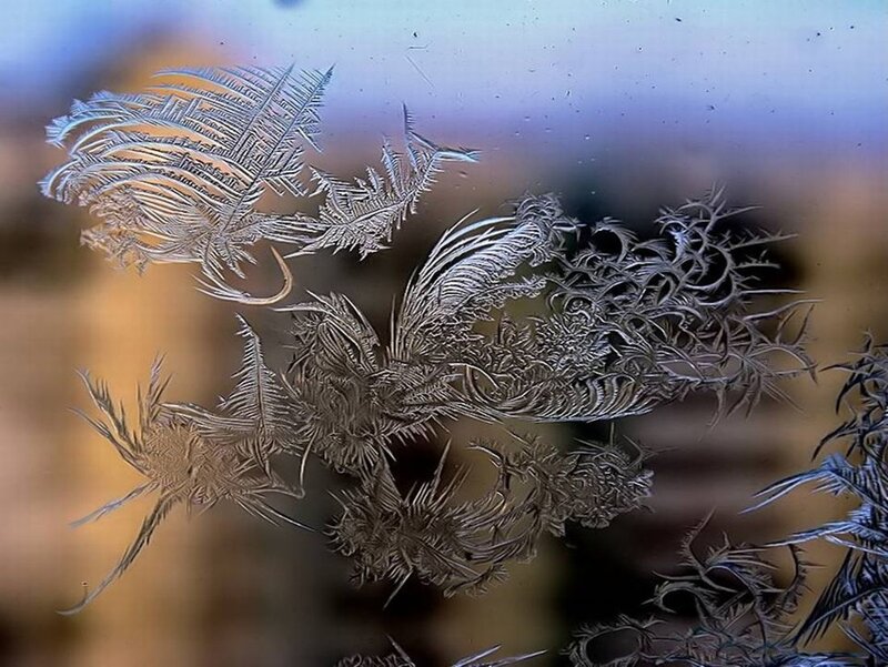 Frost Patterns on Glass — White, Calm, Winter