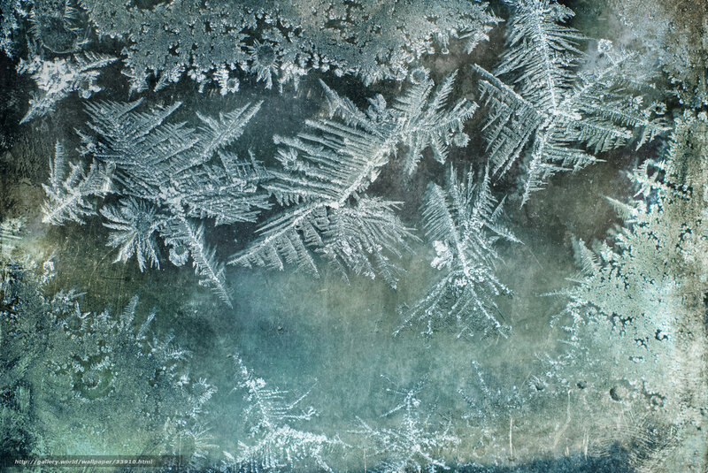 Frost Patterns on Glass — White, Cold