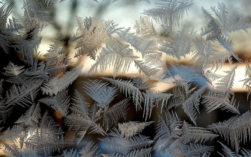 Frost Patterns on Glass — White, Cold, Winter, Photograph, Ice Crystals, Window, Light