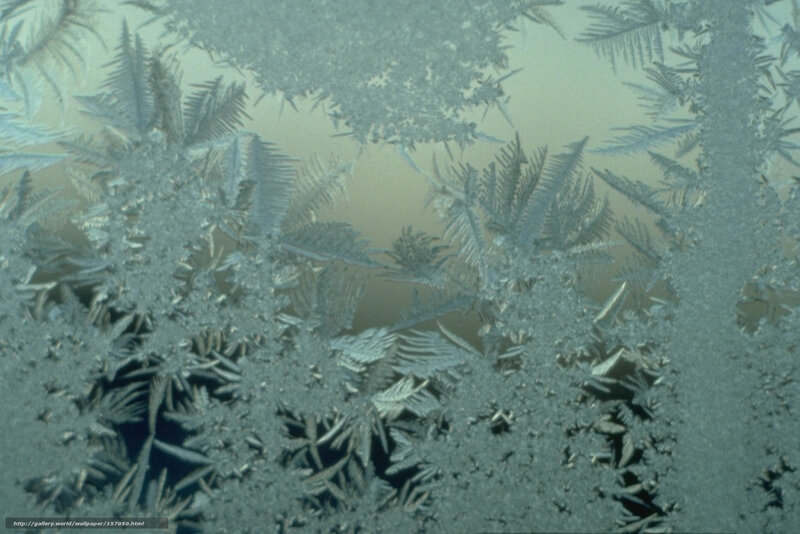 Frost Patterns on Glass — White, Cold, Winter, Photograph, Ice Crystals, Window