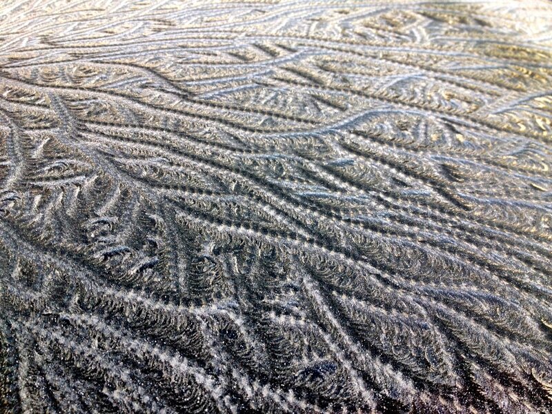 Frost Patterns on Glass — White, Cold, Winter, Photograph, Ice, Gray, Black