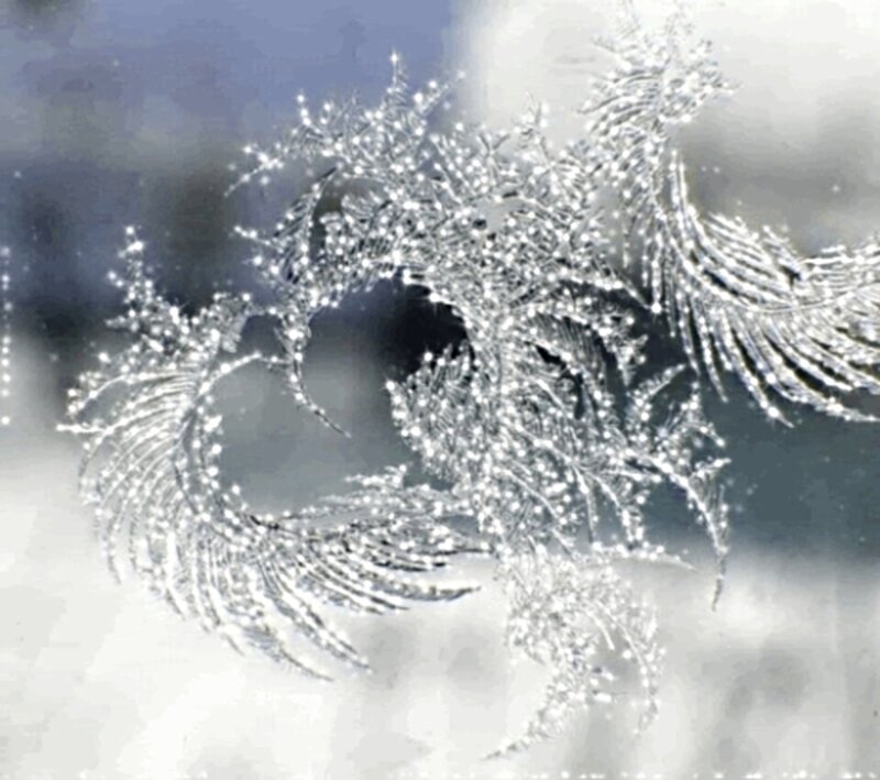 Frost Patterns on Glass — White, Cold, Winter, Photograph